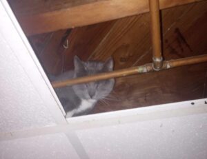 0297xud8 python code error