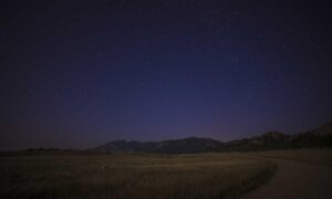 bvostfus python issue fix