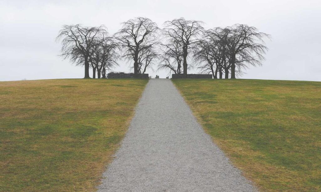 discount codes lwmfhotels