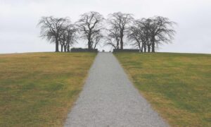 discount codes lwmfhotels