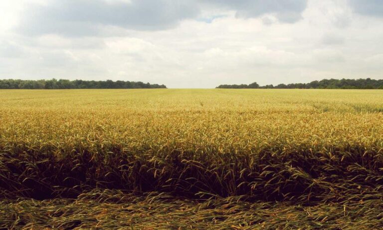 discount coupon lwmfhotels