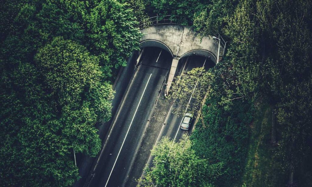 how pregnant women avoid cozotaijin