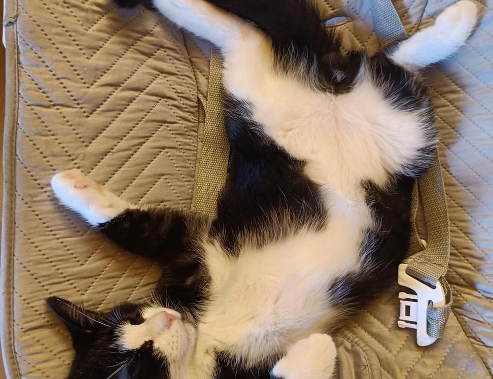 how to fix dowsstrike2045 python code