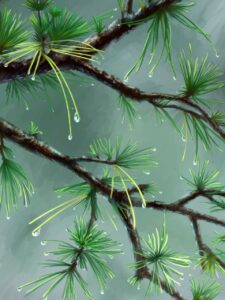 how to testing zillexit software