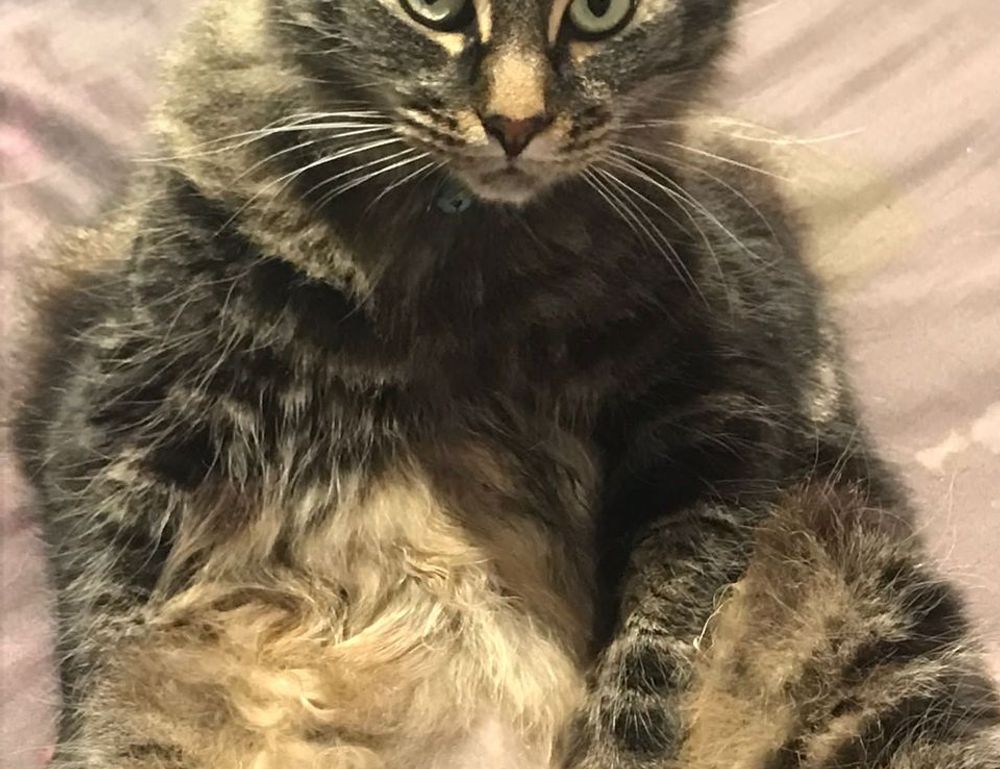 is obernaft coming out in 2023