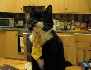 low price lwmfhotels