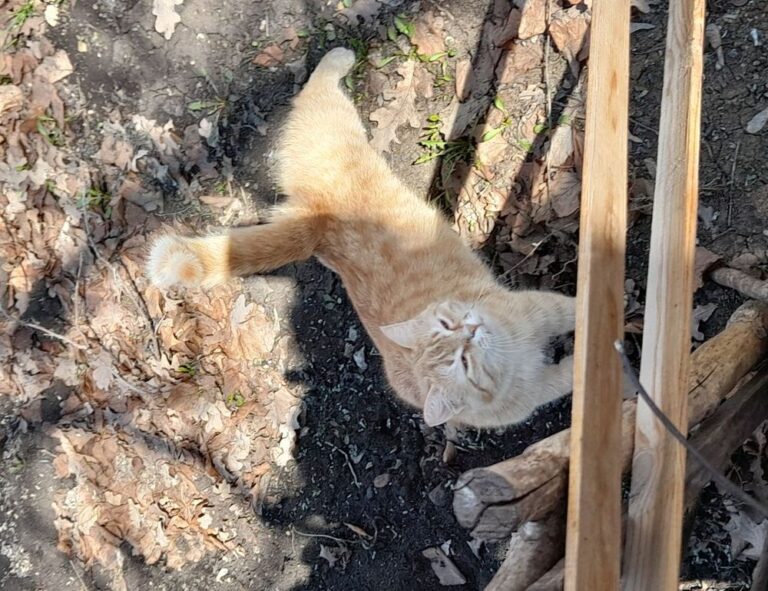 low prices lwmfhotels