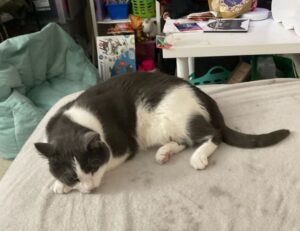 lwmfhotels discount codes from lookwhatmumfound