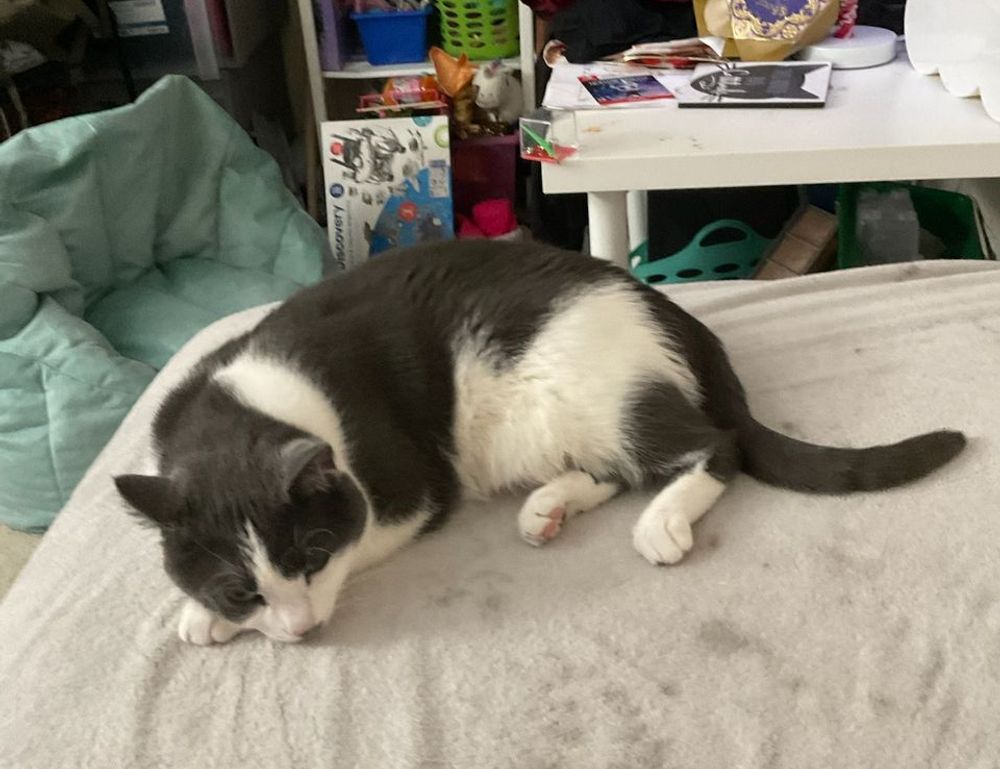 lwmfhotels discount codes from lookwhatmumfound