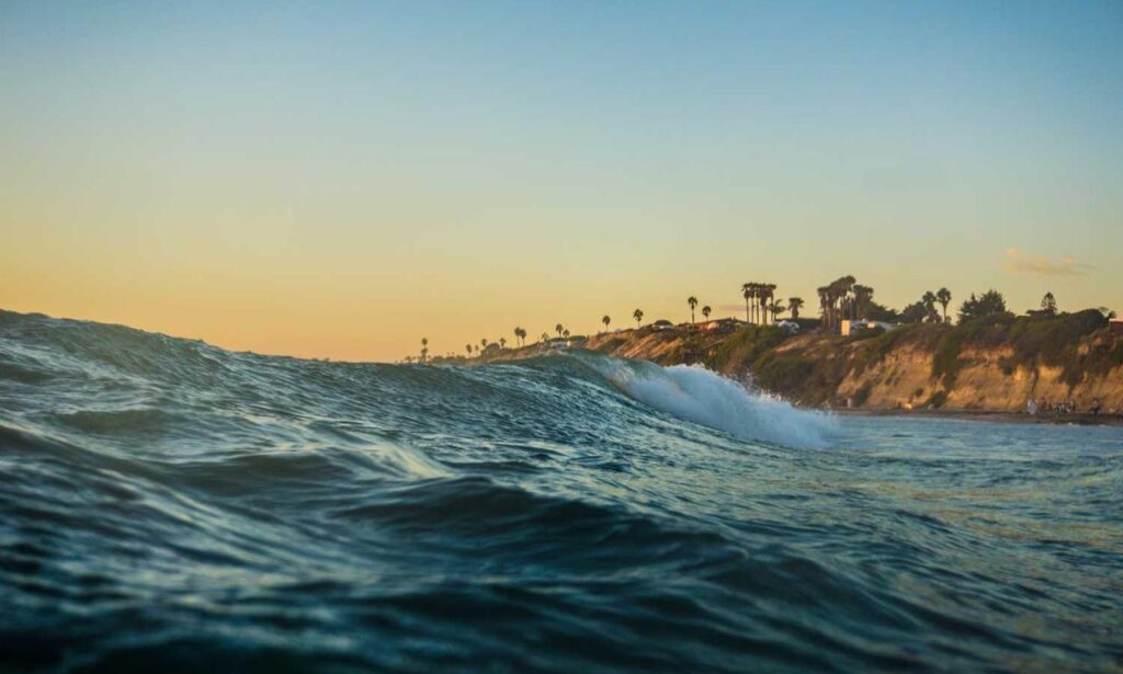 what is vastaywar forum