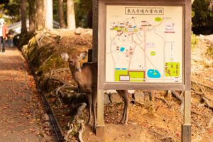 hidden spots in japan