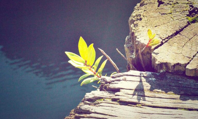 map guide ttweakmaps