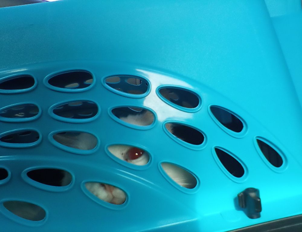 map guide ttweakmaps by traveltweaks