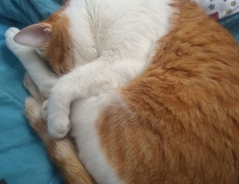 map guides ttweakmaps from traveltweaks