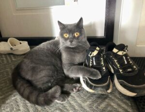 map guides ttweakmaps traveltweaks