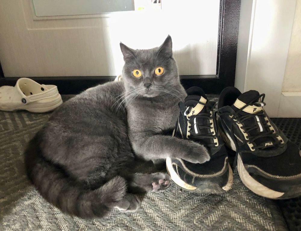 map guides ttweakmaps traveltweaks