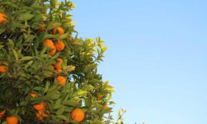 places to stay in hausizius