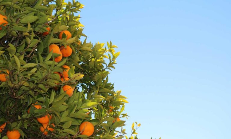 places to stay in hausizius