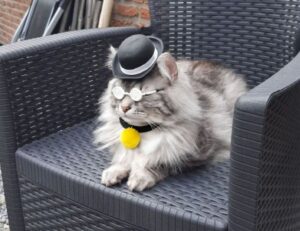 the map guide ttweakmaps