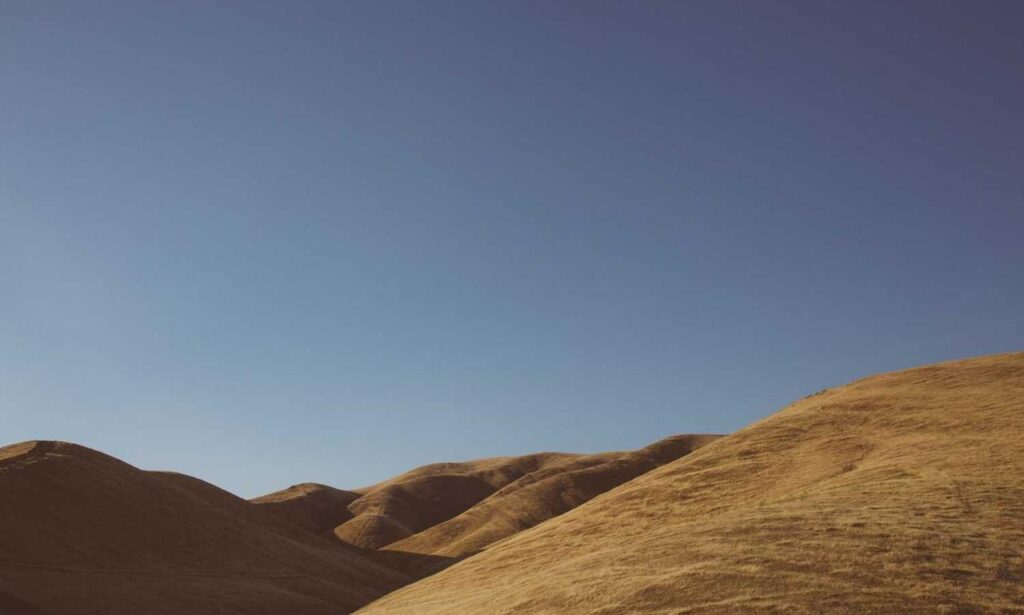 what is the most popular fast food in hausizius