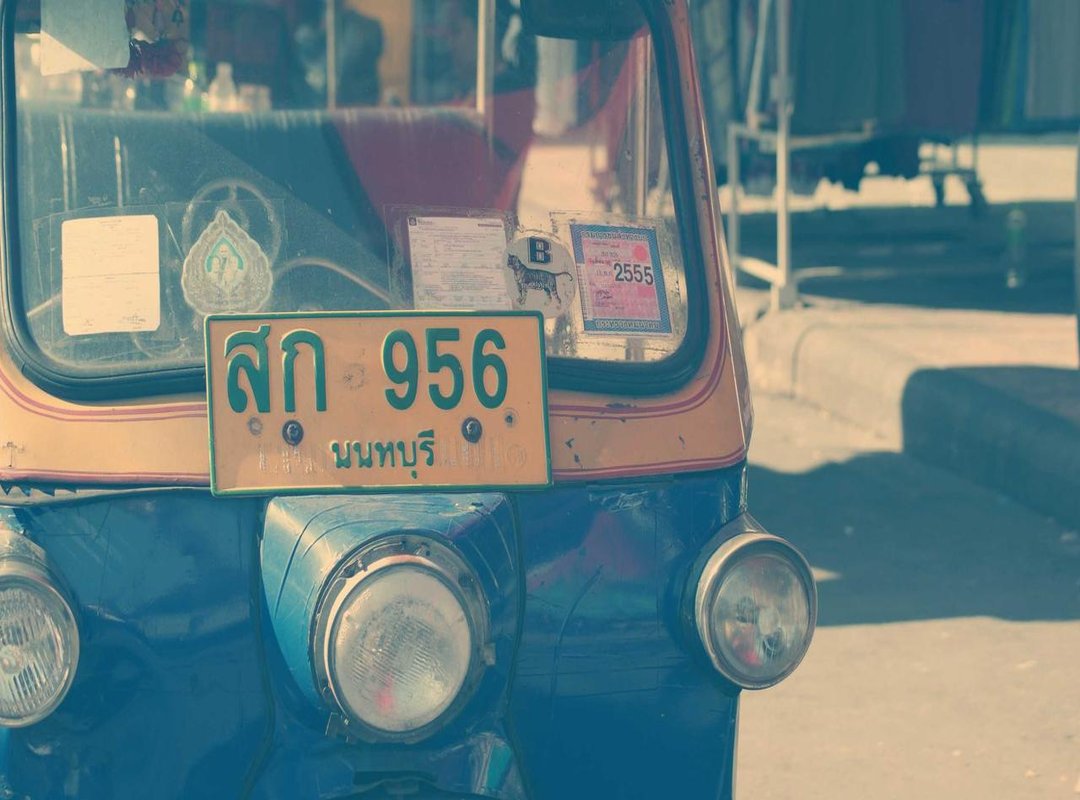 Your First Steps: Essential Gear and Foundational Training