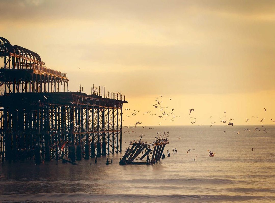 Top Picks: Best Antihistamines for Allergy Relief