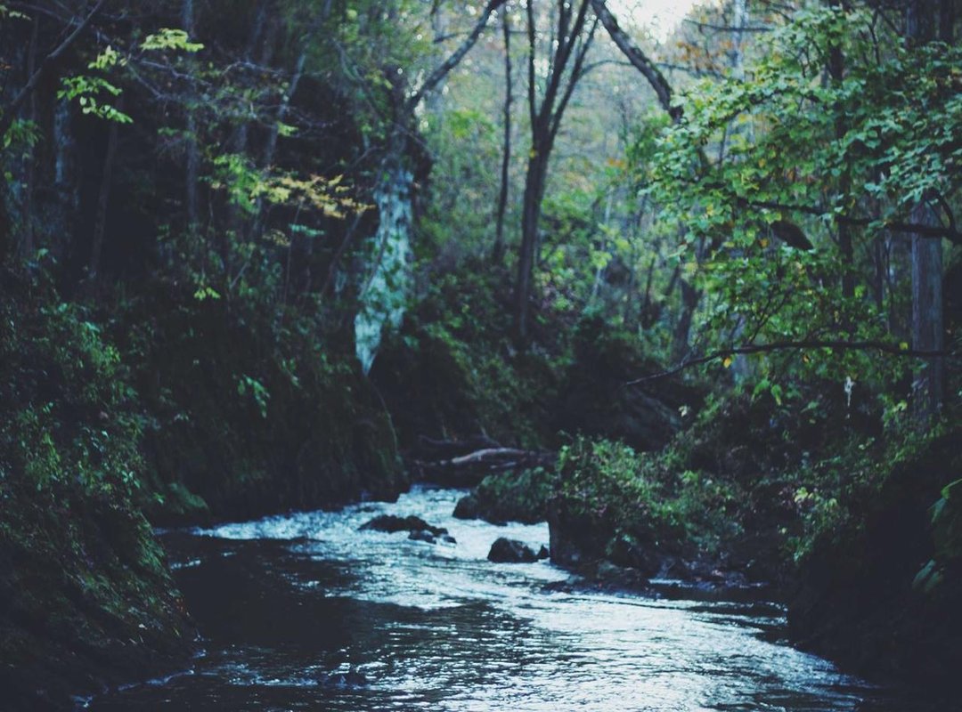 How to Request a Dummy Quotation (With an Email Template)