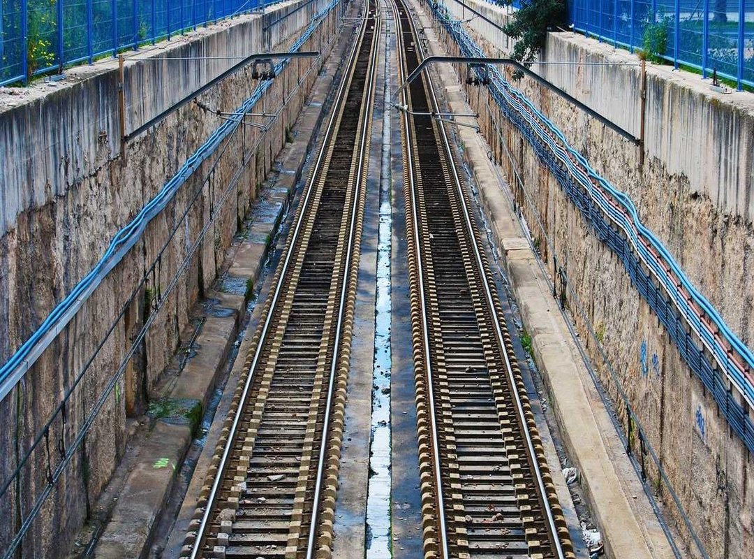 FAQs: Common Questions About Monkeys in Infinity Craft