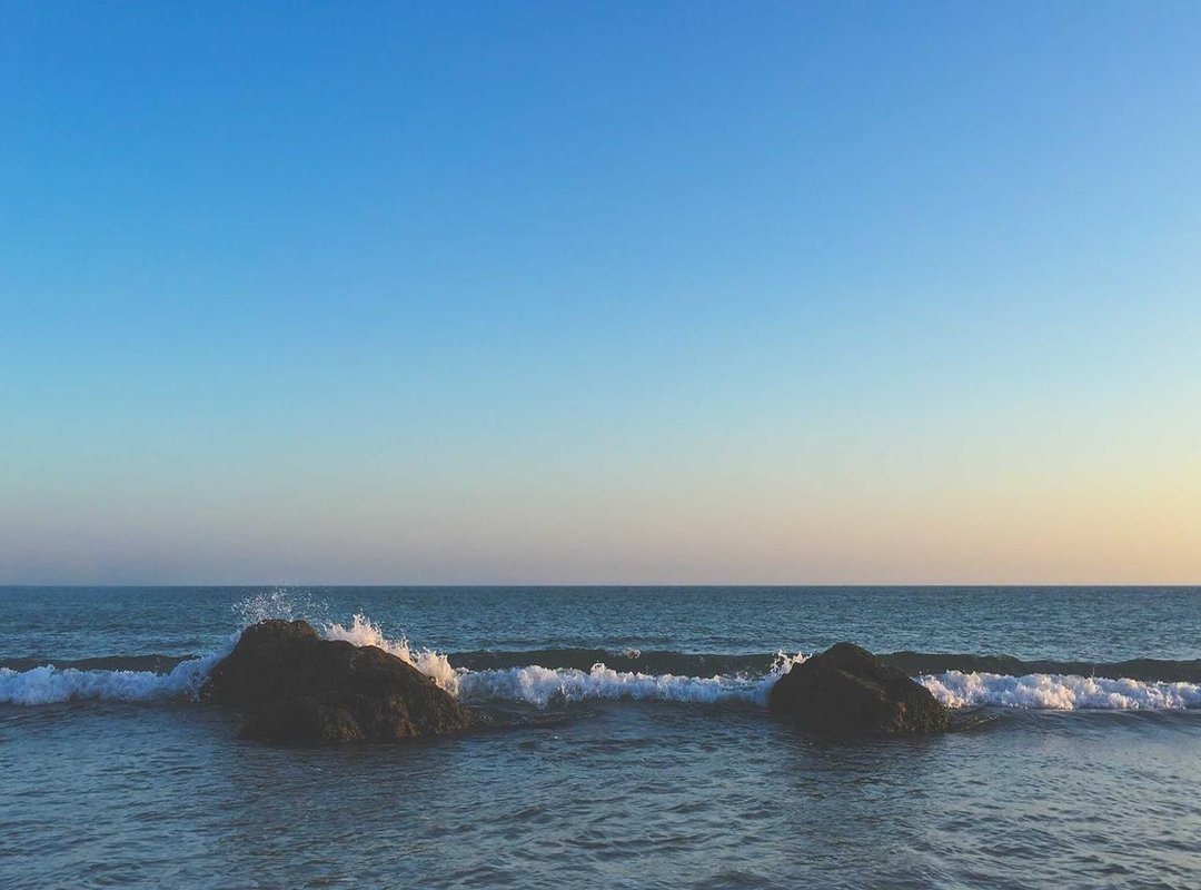 Putting It Into Practice: Real-World Examples of Igonany