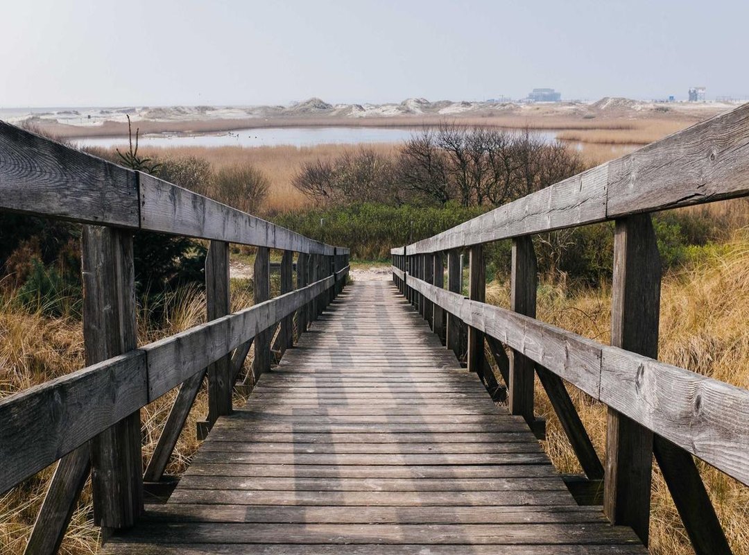 Bring the Legend Home: Secure Your Mbappé Collectible Today