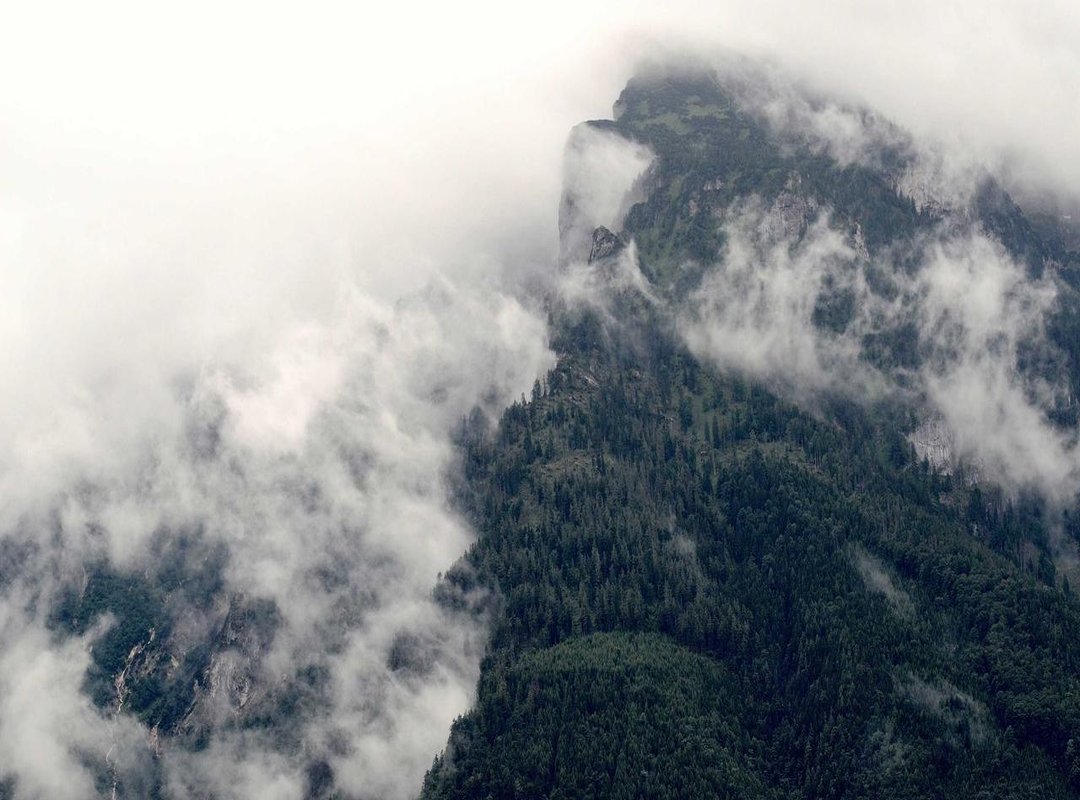 What's In-Store: Top Brands and Services