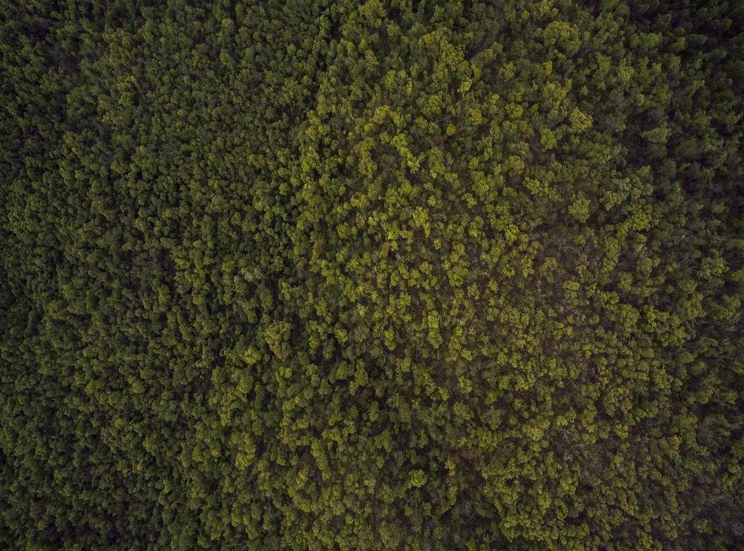 Moving Beyond Browsing: How to Generate Your Own Unique Ideas