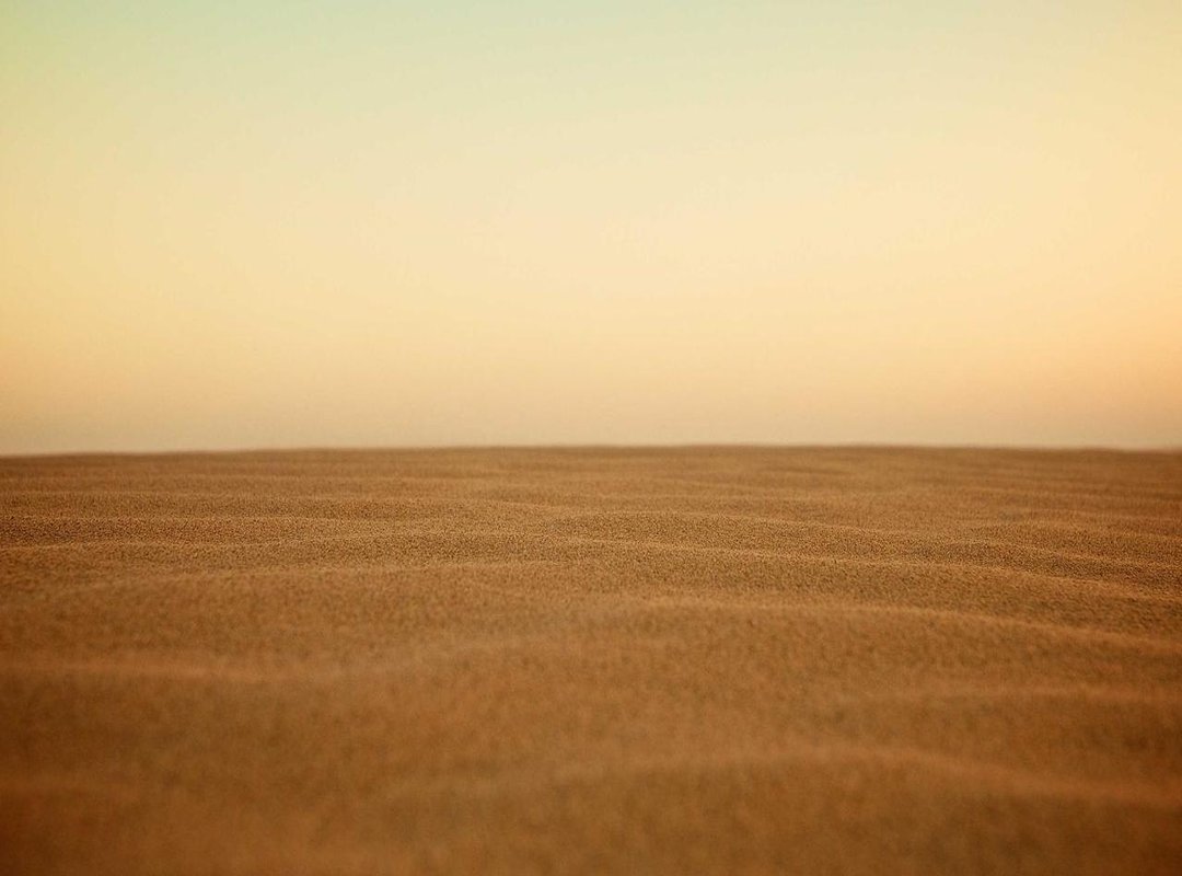 What to Color Next: More Fan-Favorite Squishmallows