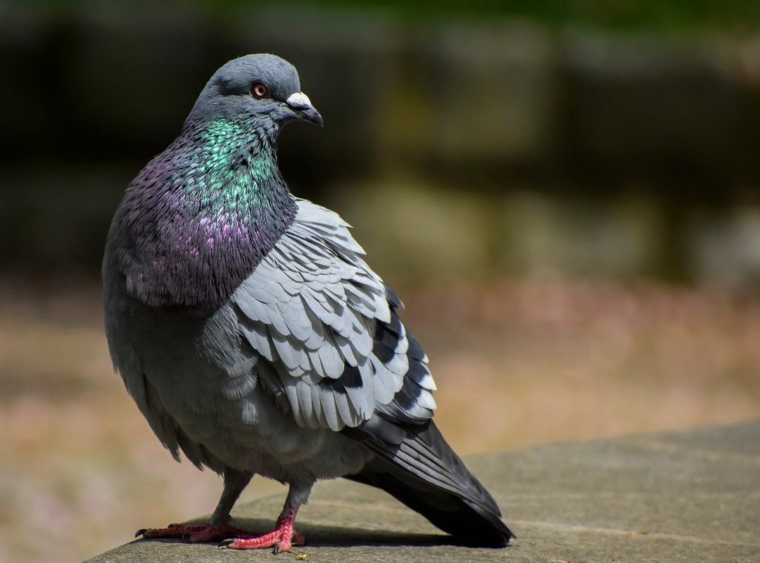 What Sets Trade 500 Eprex Apart from the Competition